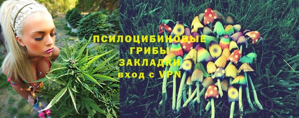 МДМА Осташков