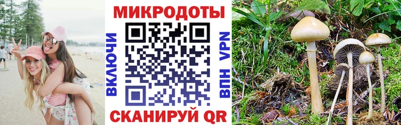 Псилоцибиновые грибы GOLDEN TEACHER  Салаир 